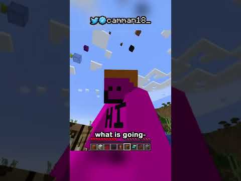 Minecraft, But It's Raining Random Blocks...