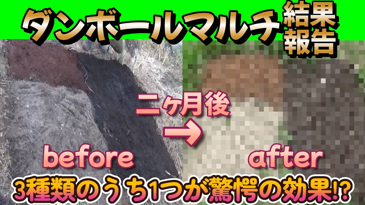 【雑草対策】3種類のダンボールマルチの約二か月後の様子!!とある資材が想像を超えた結果に!?【家庭菜園】【園芸】【段ボール】【増える園芸土】【バーク堆肥】【草焼きバーナー】【雑草抑制】