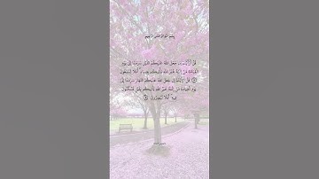 القارىء علي جابر، ماتيسر من سورة القصص .