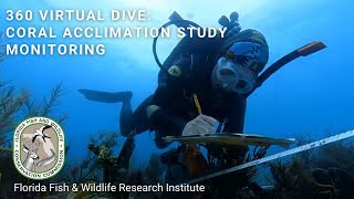 360 Virtual Dive – Acclimation Study: Monitoring