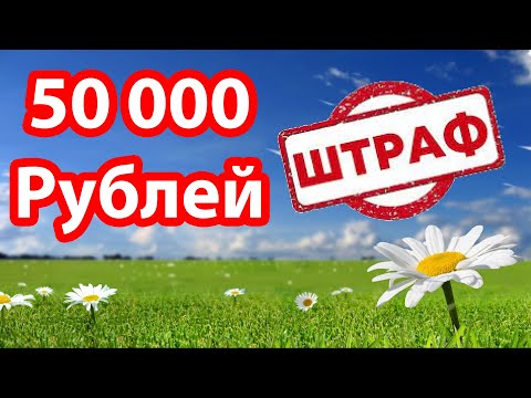 Штрафы за мусор и сорняки для российских дачников до 50 000 тысяч рублей 2022 год