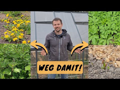 Wie ich gegen