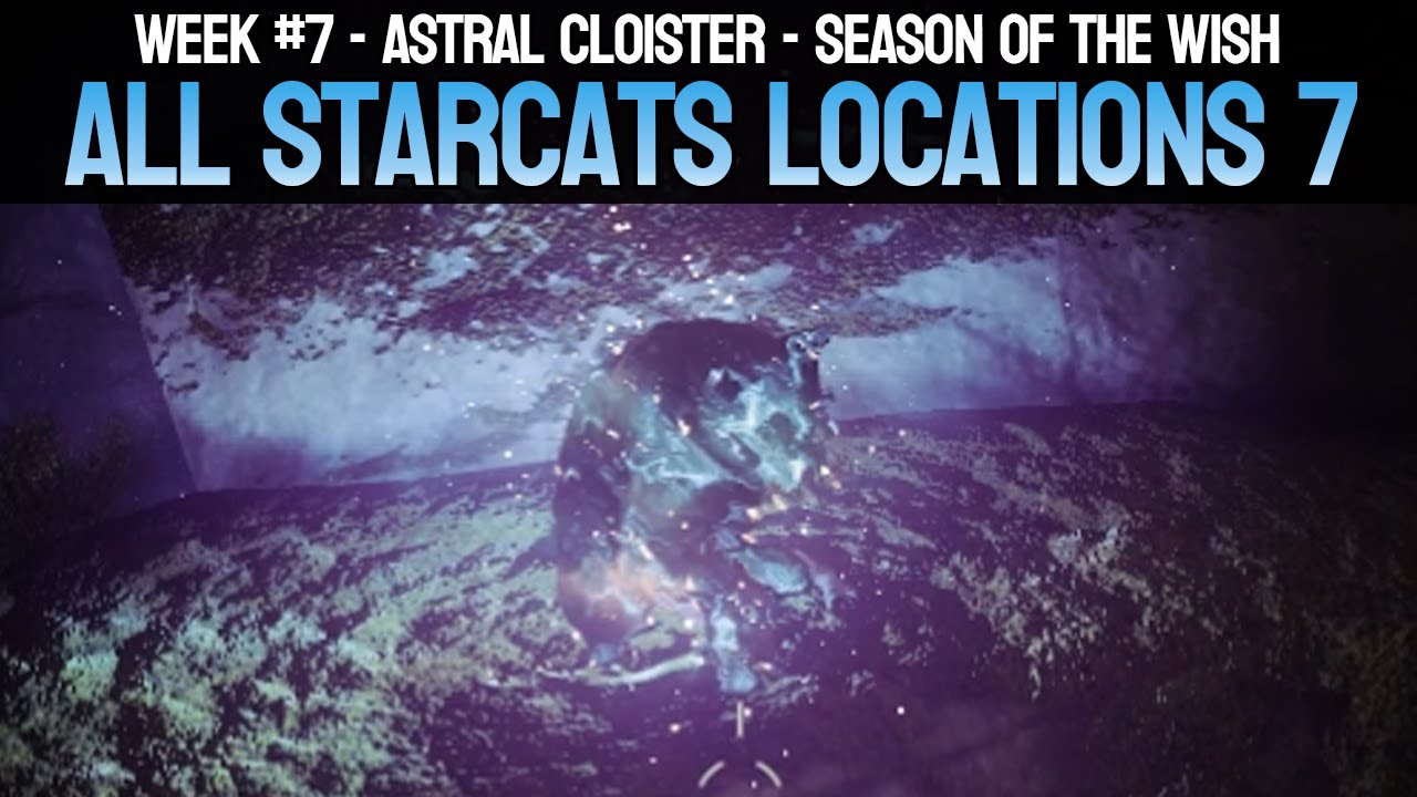Starcat Locations Guide - Week 7 - Astral Cloister | Destiny 2