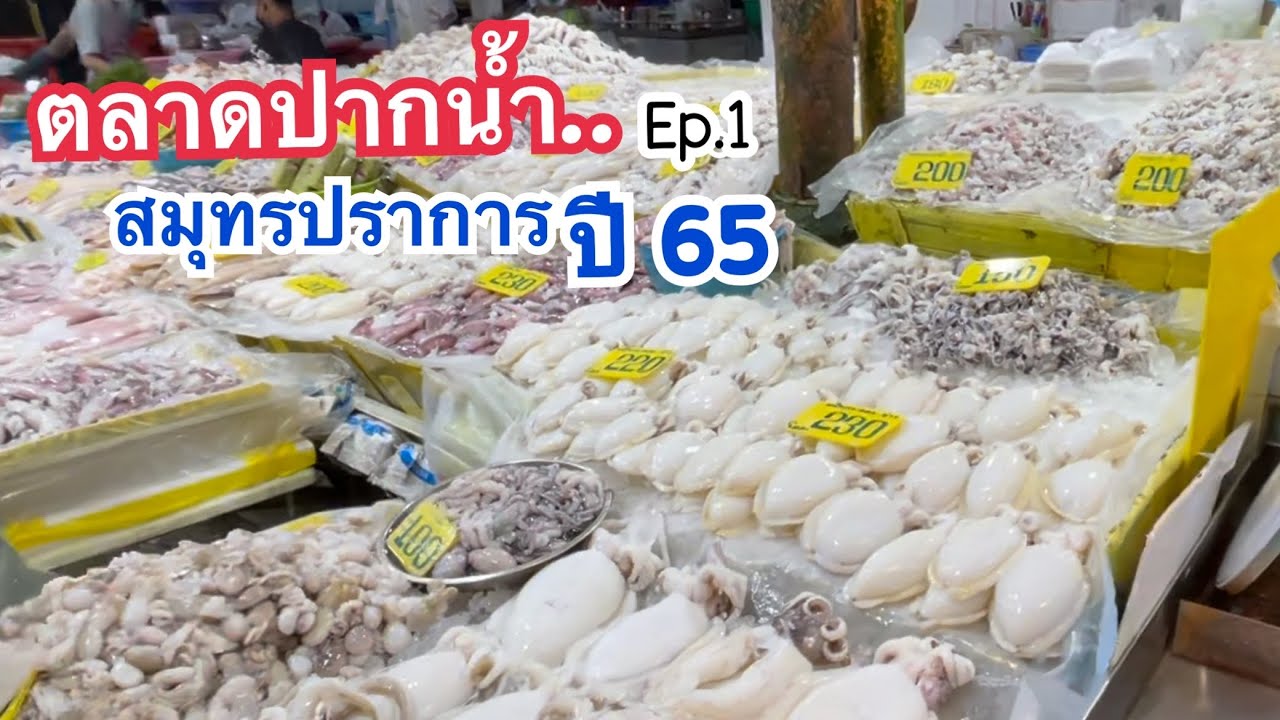 🔴ตลาดปากน้ำ สมุทรปราการ (Ep.1) อาหารทะเลสดๆ ซีฟู้ด ล่าสุดเป็นแบบนี้ | Thailand Seafood Market | ข้อมูลที่เกี่ยวข้องกับร้านอาหารทะเล บางปูที่มีรายละเอียดมากที่สุด