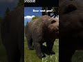 rust console bear next gen #rustconsole #rustgame #rustupdates #rustclips #rustshorts