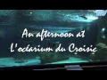 Beginning of video