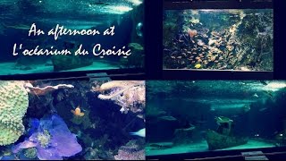An afternoon at Locéarium du Croisic | (Aquarium vlog)