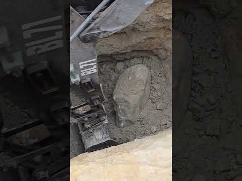 26 ноября 2025 г.