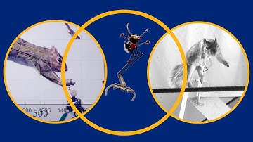 Berkeley researchers designed this robot to jump like a squirrel