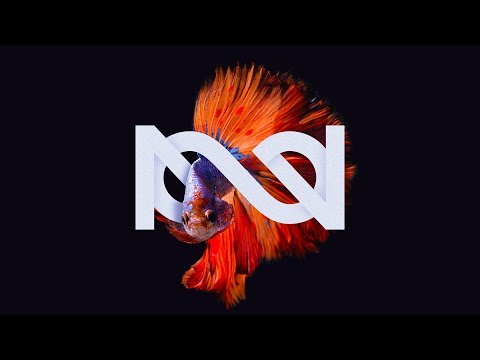 NoruNegru - CONTRAINFIN17 (Full album)