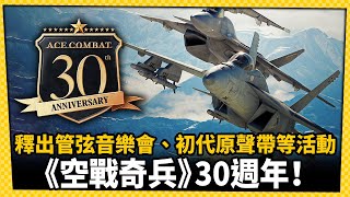 經典空戰模擬遊戲《空戰奇兵》系列迎來30週年 紀念活動開跑！_電玩宅速配20250701
