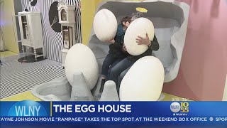 Egg-Cellent Pop Up Exhibit Boasts Creative Design & Interactive Activities