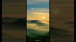 #اية_الكرسي - #هزاع_البلوشي #quran #القرآن_الكريم #islamic #shorts