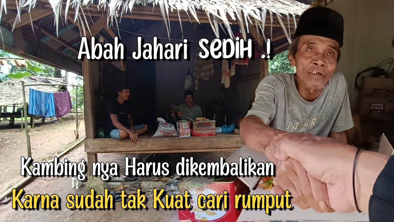 KARNA TAK KUAT LAGI CARI RUMPUT ABAH JAHARI HARUS PULANGKAN KAMBING PADA PEMILIK NYA 
