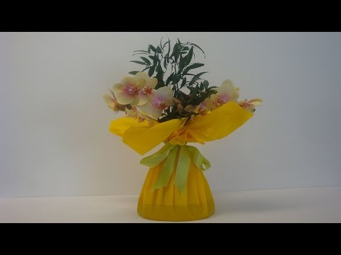 Video: Orchidee Ist Das Beste Geschenk Für Ihre Liebsten