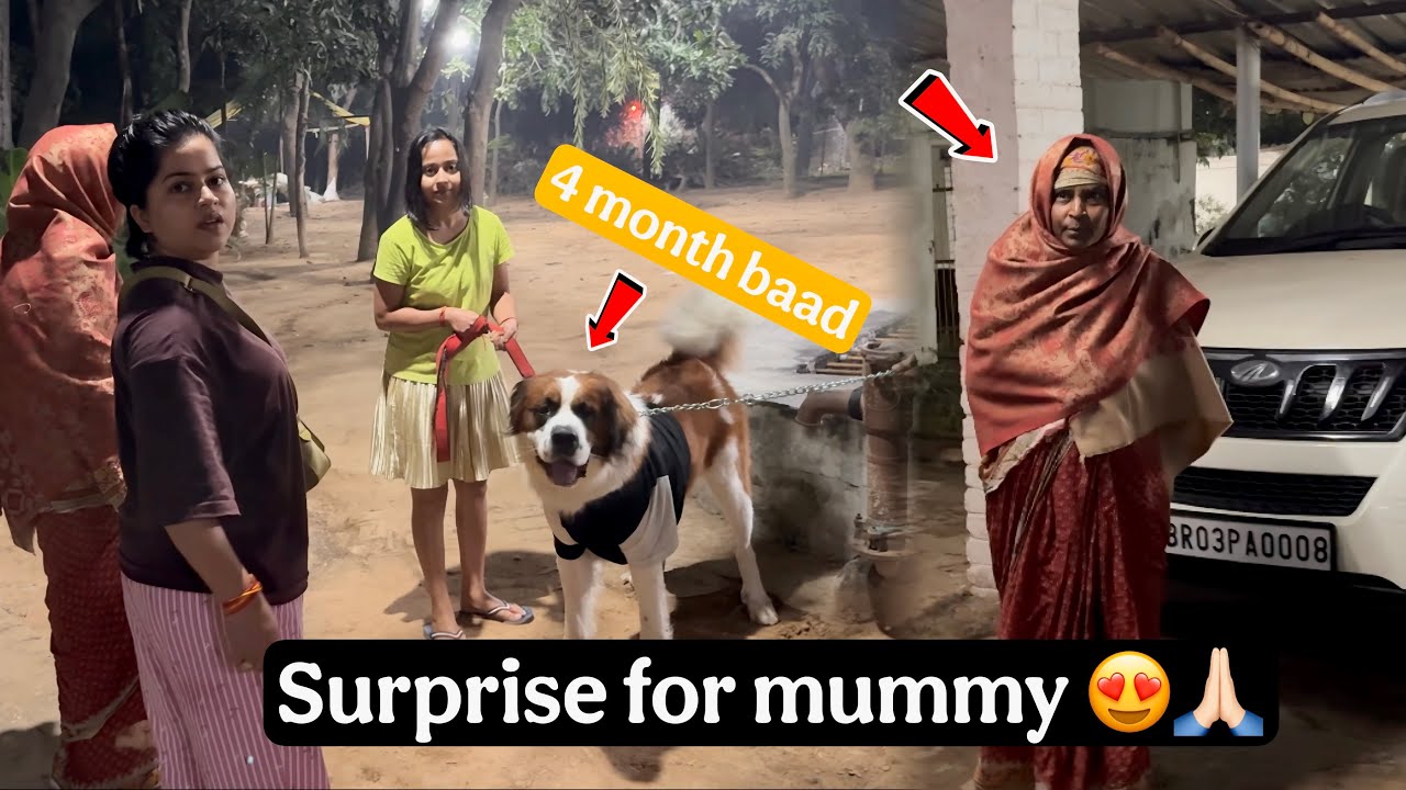 Big surprise for mother 😍 dog back home 🏠 
