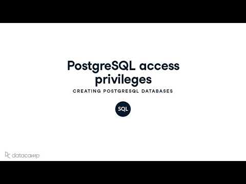 PostgreSQL Access Privileges | PostgreSQL