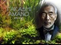 Underwater forests  takashi amano by so ludovino