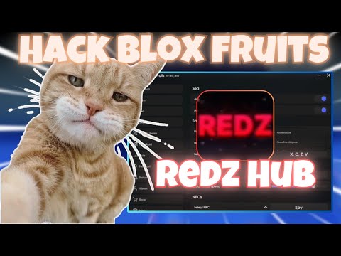 Blox Fruits VNG Hack Update 22 – Redz Hub Auto Draco – Bypass Link