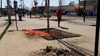 ALARMA QUÉDATE EN CASA (CHALCO)