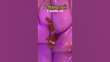 Quá trình phát triển của Cá Nemo như thế nào ? Nhớ xem hết clip #traicabetta #bettashop #bettasales