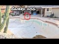 FAILED POOL HUNTING MISSION!