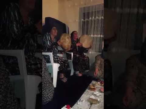 овози зинда оча ма тура ёд кардум