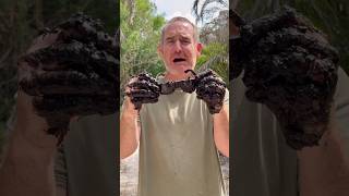 Want Clear Vision with Your Glasses? Let Me Clean Them!