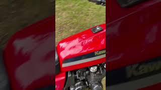 1981 Kawasaki gpz550 kerker 1981 Kawasaki gpz550 kerker