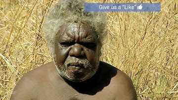 Aboriginal Hunting | Culture - Planet Doc Full Documentaries