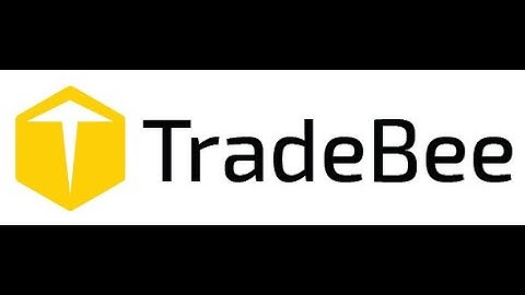 TradeBee Y Combinator Video (S22 Batch)