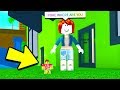 How Do You Get Admin Commands On Roblox