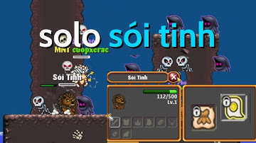 sơn thuỷ phân tranh - đánh sói tinh được gì stpt salata