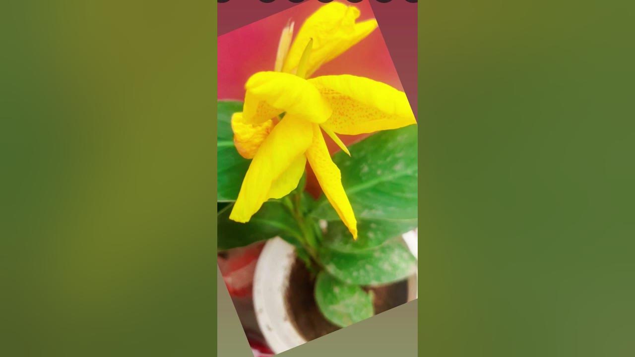 Diffraction - YouTube image.