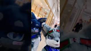 I found a #FURRY yeah~！ #fursuit #fursuitcommunity #fursuitcommunity #fursuitwolf #kemono