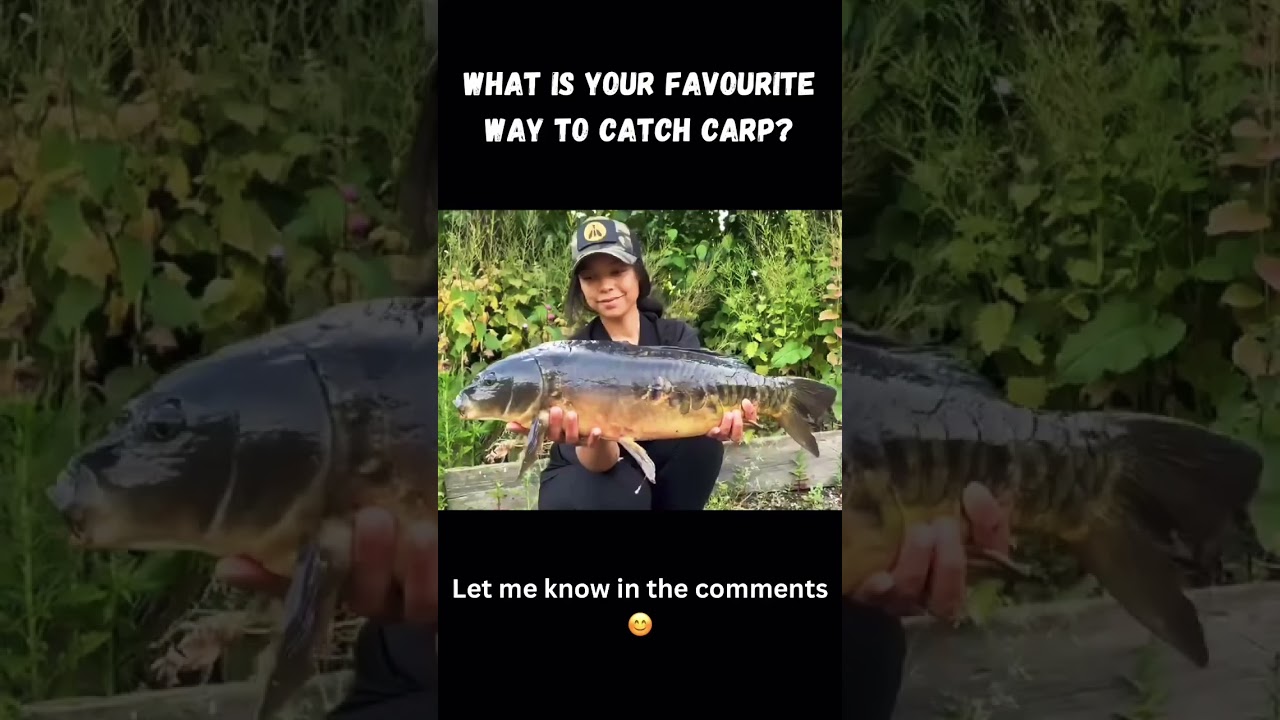 Summer Surface Fishing! #carpfishing #shorts