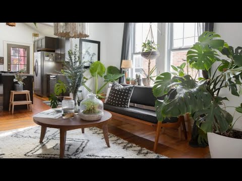 interior-design-|-boho-minimal-•-plant-filled-home-in-charleston