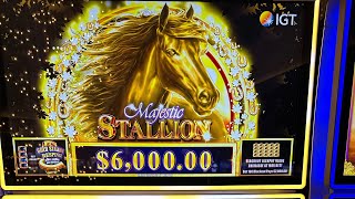 For the first time Playing majestic stallion slots machine at casino screenshot 5