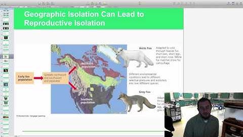 Chapter 4-4 Video Lecture