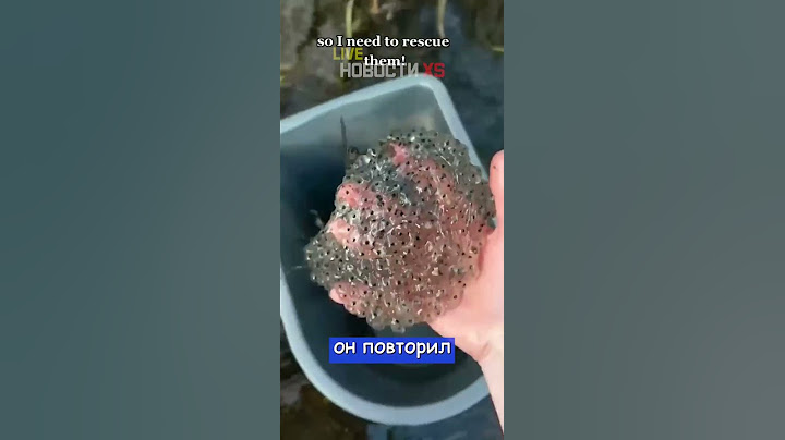 Блогер пытается создать армию лягушек