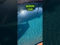 Arizona Pool & Patio Transformation | Cool Deck, PebbleTec, Waterline Tile Remodel by ACP Designs
