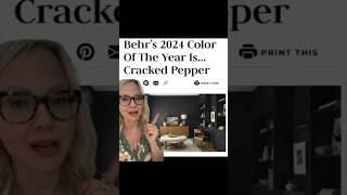 A colour expert’s opinion on Behr’s 2024 paint colour of the year - soft black screenshot 1