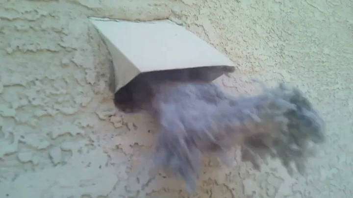 D80 (DRYER VENT 80% CLOGGED) CAUSED BY BIRD NEST! ODDLY SATISFYING DRYER VENT CLEANING