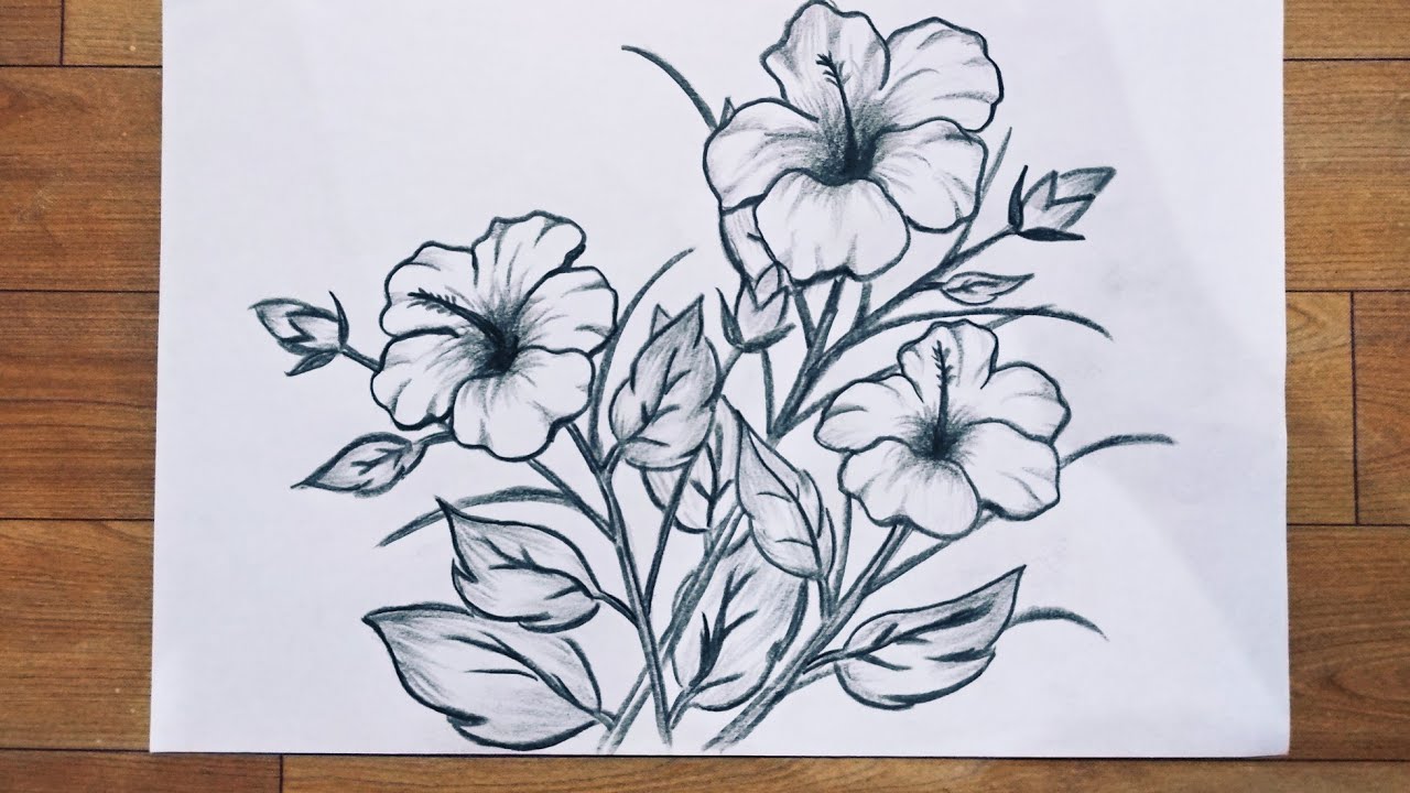 cara menggambar bunga contoh gambar bunga yang bagus - YouTube