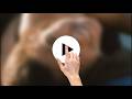 S. E. XXXL XXXX ASMR videos of you guys today XXXIV xxxlv XXXIV xxxlv XXXIV show on the best for you