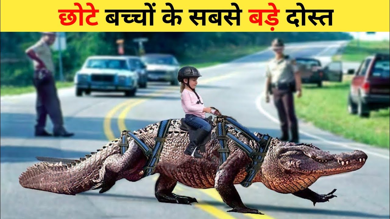 छोटे बच्चों के खतरनाक दोस्त | Unusual Pets That Kids Actually Own