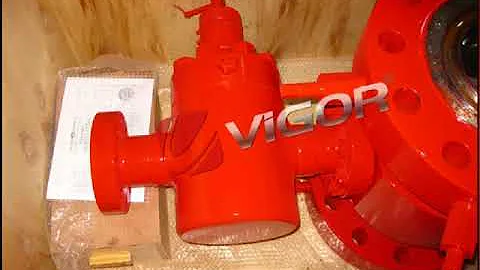 China Vigor Wellhead Equipment