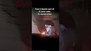 CÃO COME OFERENDA DE MACUMBA FAROFA CARNE FRANGO GALINHA #pets #animais #religião #espiritualidade