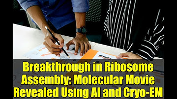 Breakthrough in Ribosome Assembly: Molecular Movie Revealed Using AI and Cryo-EM