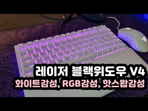 【키보드 리뷰, 자막有】 레이저 블랙위도우 V4 | 오렌지 택타일 | 게이밍 기계식키보드 추천 | 75% 화이트컬러의 레이저 최초 핫스왑키보드